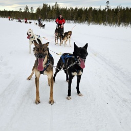 finnland rundreise 2025_66